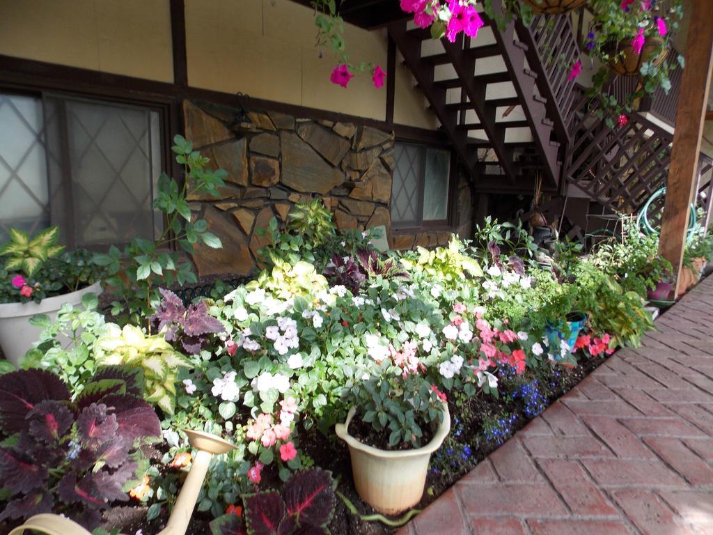 7 Gables Inn & Suites Φέρμπανκς Εξωτερικό φωτογραφία